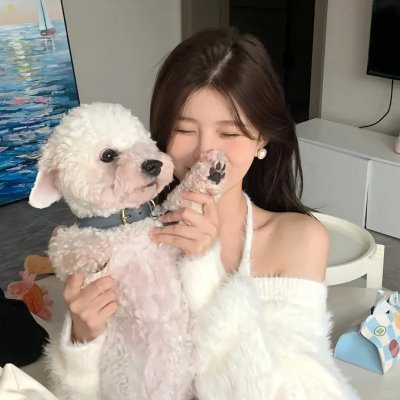 四弘誓愿 海报